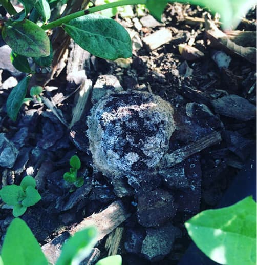 Podrška za subvencije i grantove