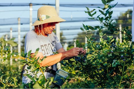 Dajemo prednost prirodnim procesima i biologiji zemljišta.