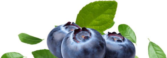 Blueberries